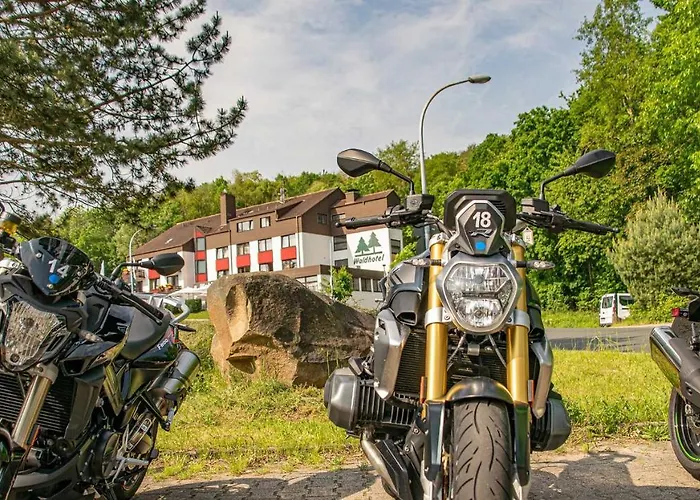 Waldhotel ホテル 3*